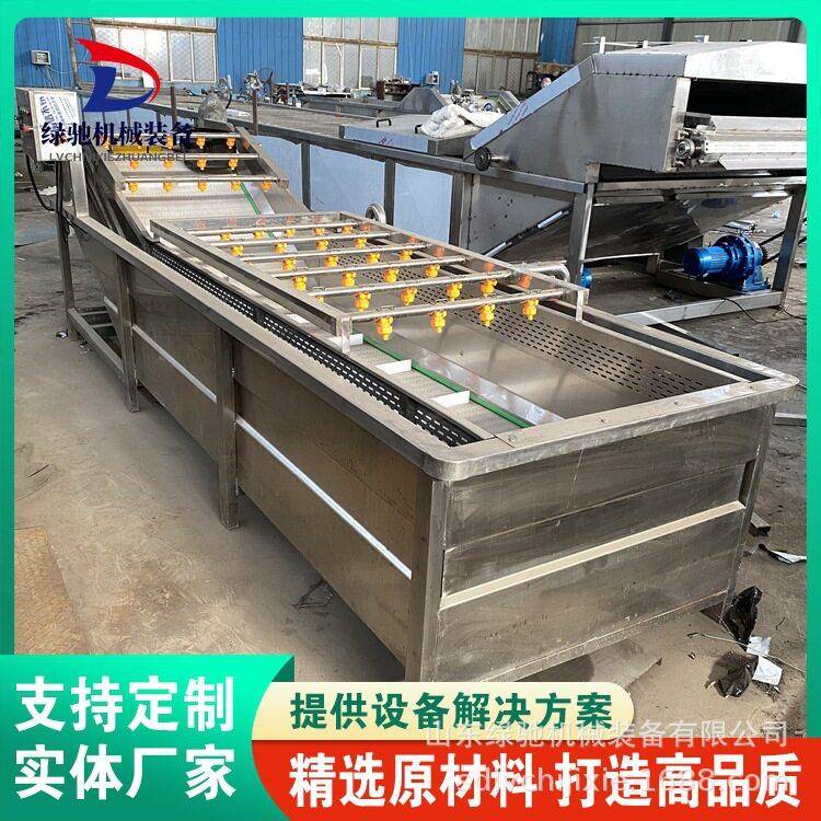 香椿芽连续气泡清洗机多功能紫甘蓝气泡清洗机厂家免费安装调试