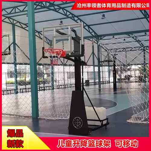 儿童篮球架可升降户外标准篮球框篮球架投篮可移动家用篮球筐训练