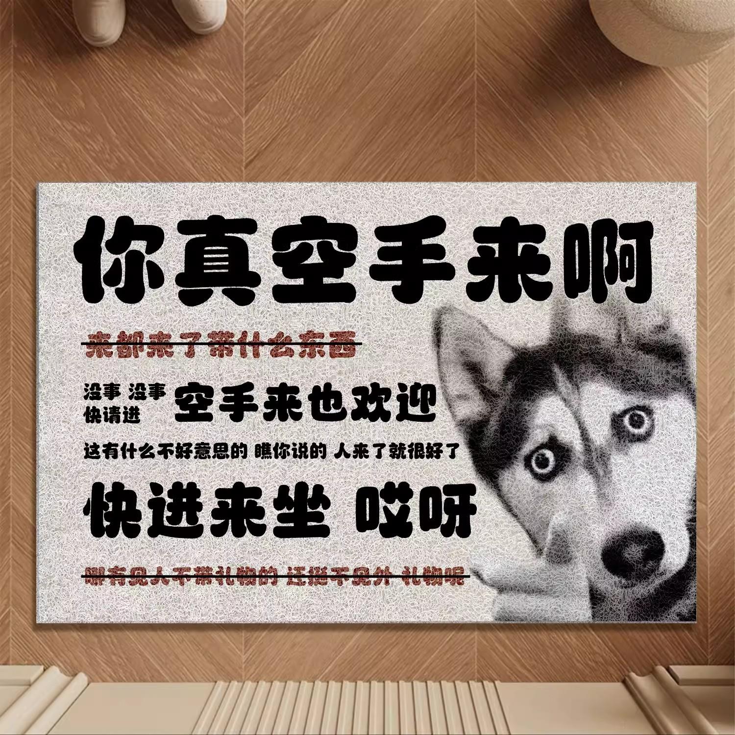 你空手来啊丝圈地垫搞笑创意入户门地毯进门门垫门口入门脚垫玄关