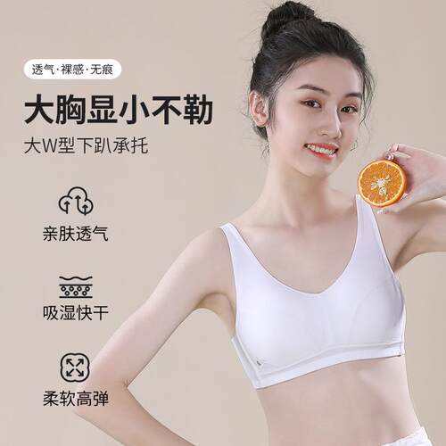 阶段少女钢圈文胸纯棉少女文胸