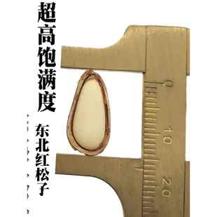 红松子新货东北特产开口松子特大颗粒原味手剥人工松树籽散装500g