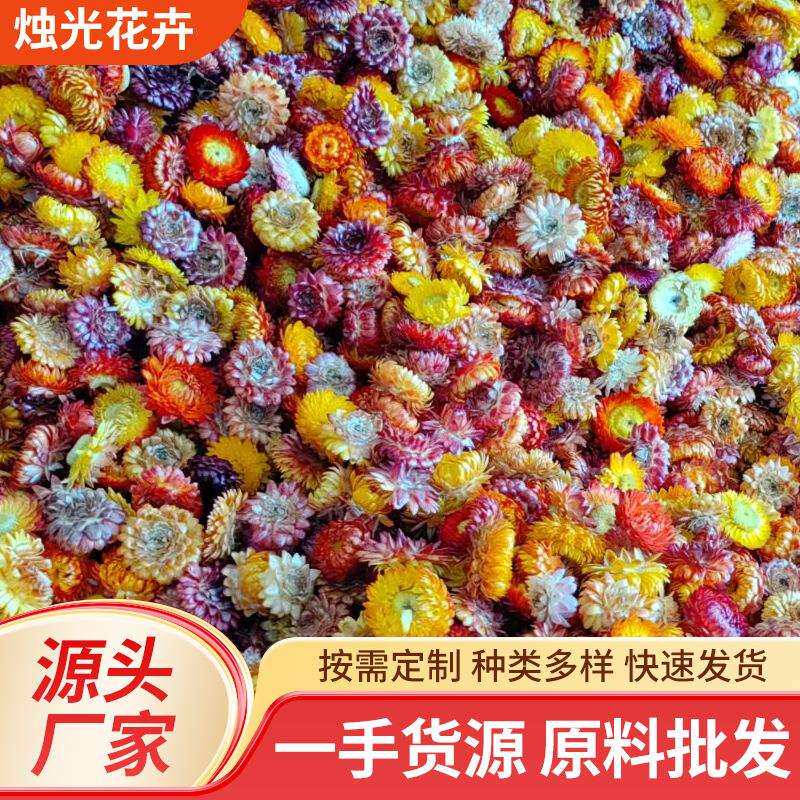 麦秆菊花头干花七彩菊按斤称云南原材料干菊花创意家居装饰品摆件