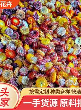 麦秆菊花头干花七彩菊按斤称云南原材料干菊花创意家居装饰品摆件