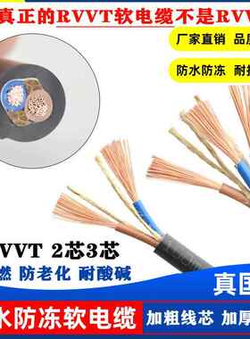 远通电线国标铜芯rvvt家用电线软线2*2.5/4/6平方防水户外电缆线