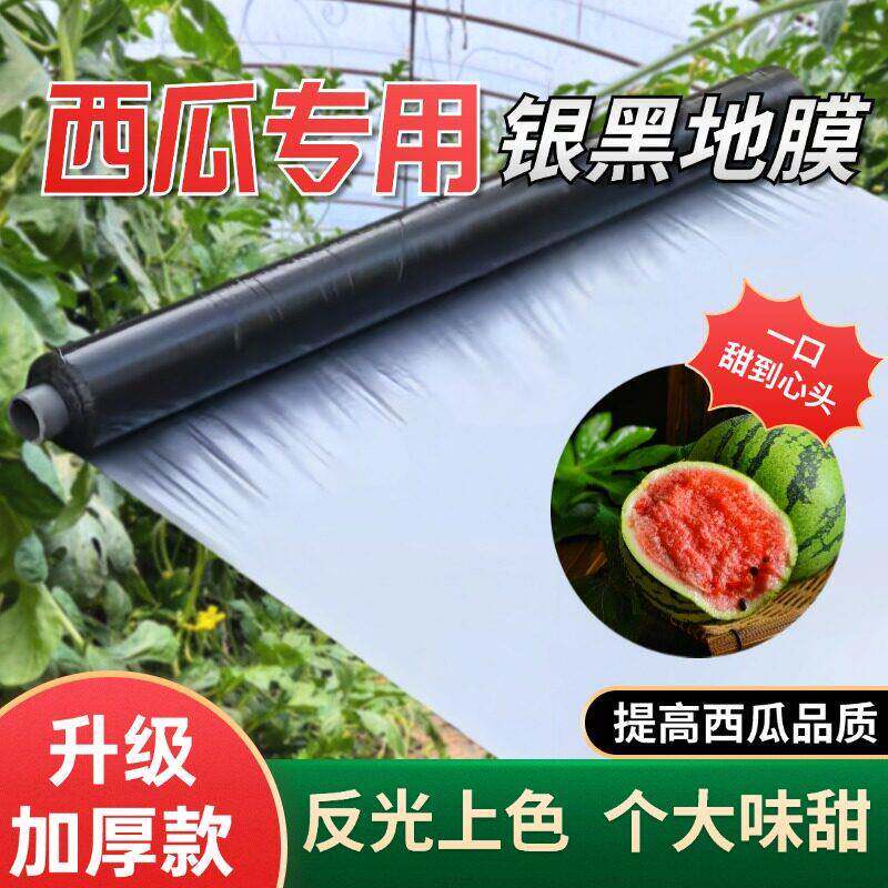 农用加厚全新料银黑双色反光增色地膜西瓜种植大棚专用防草除草膜