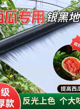 农用加厚全新料银黑双色反光增色地膜西瓜种植大棚专用防草除草膜