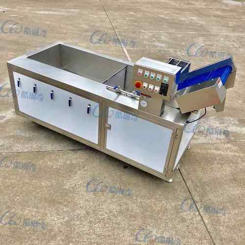 山楂清洗机 山里红山果清洗机 翻浪能杀菌去农药洗菜机 厂家直销