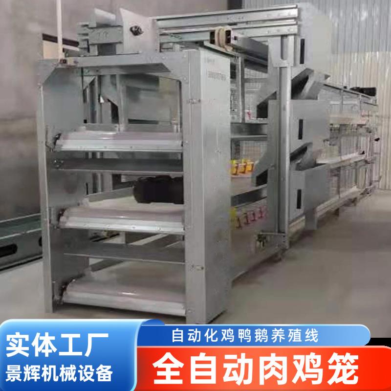 全自动清粪捡蛋镀锌丝肉鸡笼厂家畜牧养殖设备养鸡笼加工定制