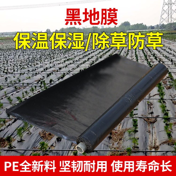 农用种植加厚抗老化黑地膜塑料薄膜除草保温保湿防草大棚果树种地