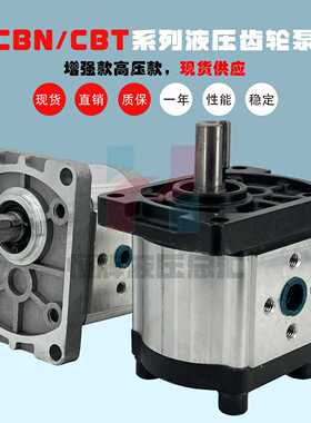 CBN齿轮泵CBN-F316 CBT液压泵F304 F306 F310 F312 F325高压油泵