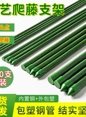 爬藤架月季花架葡萄架豆角黄瓜支撑架植物包塑钢管固定杆园艺支架