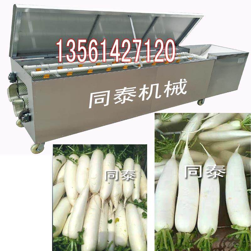 小型洗白萝卜机器 大型全自动白萝卜清洗机 土豆红薯清洗去泥机