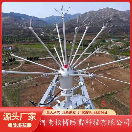 拒雷装置驱雷器多短针雷电放散装置输变电线路驱雷器工厂直销