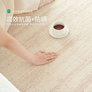 卧室床边免洗可擦奶油风高级感沙发茶几耐脏隔音地垫 地毯客厅新款