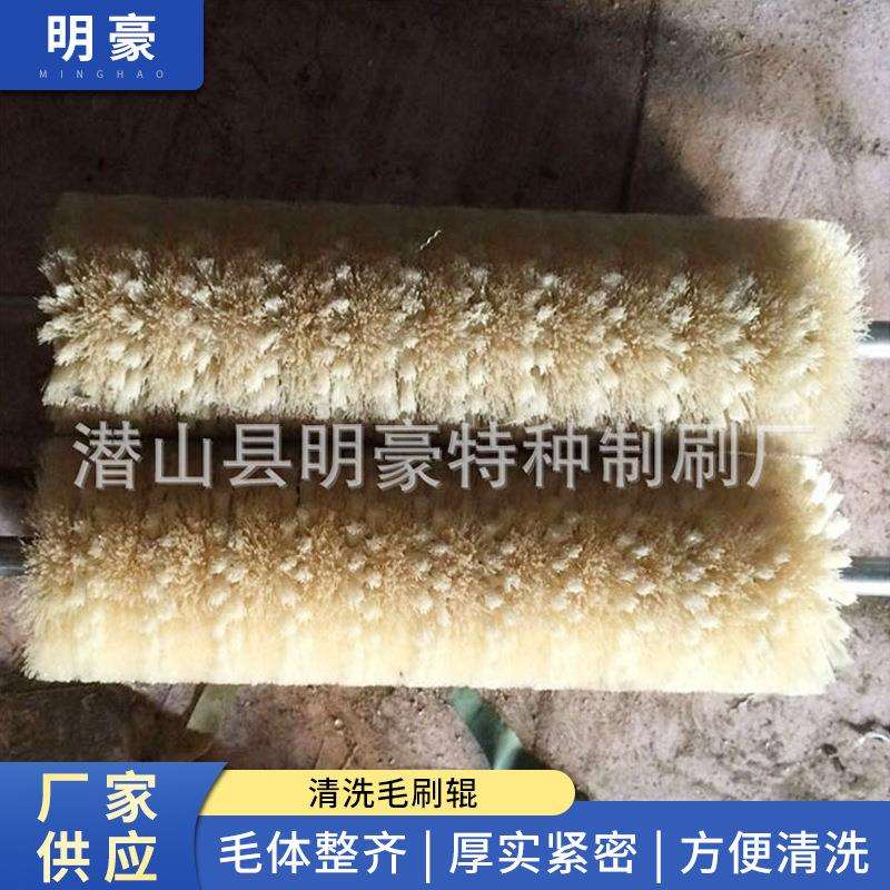 生产洗蛋机清洗毛刷辊异型清洗机毛刷辊玻璃清洗毛刷辊螺旋