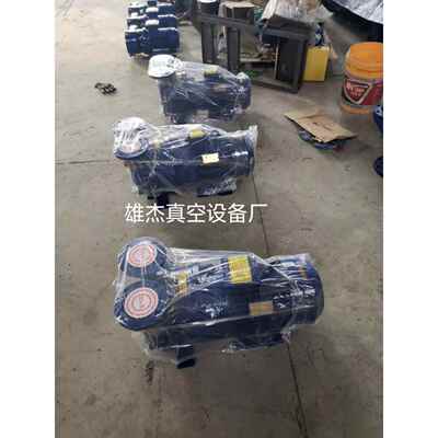 水循环真空泵5.5KW2BV5111、2BV5121、2BV5131水环式真空泵铸铁