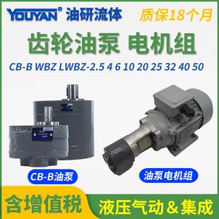 BM液压CB LWBZ齿轮泵CB B10油泵6 100