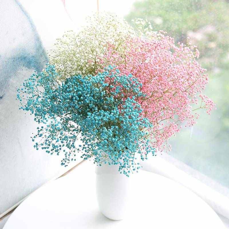 满天星鲜花云南鲜花彩色新鲜花材基地直发家庭水养瓶插顺丰德邦