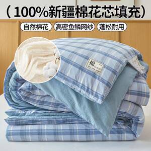 西域种棉人棉花被子里外纯棉被套被胎蓬松被褥子床垫居家民宿学生