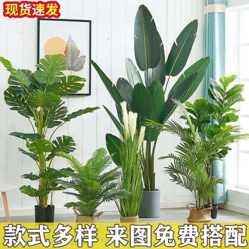 仿真树客厅装饰仿真摆仿真绿植绿植造景件仿仿真绿植真花场景布置