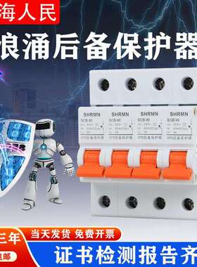 上海人民浪涌后备保护器一二级SCB后备保护装备SCB前置保护开关