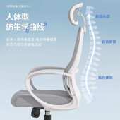 人体工学椅护腰办公椅家用电脑椅舒适久坐大学生宿舍可升降靠背椅