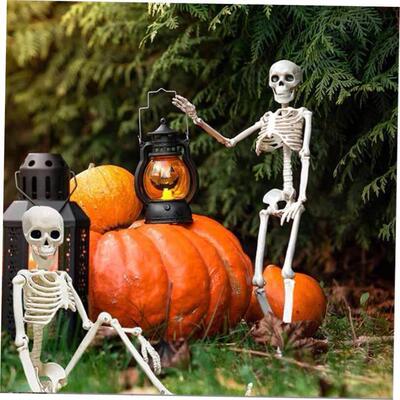 Halloween horror pumpkin human activity skull skeleton万圣节