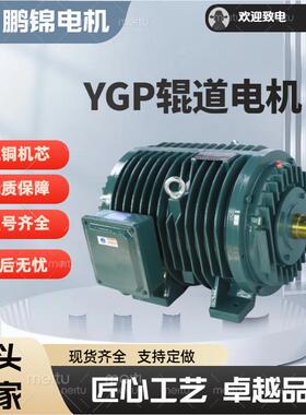 YGP辊道电机变频调速电动机热轧辊道减速电机