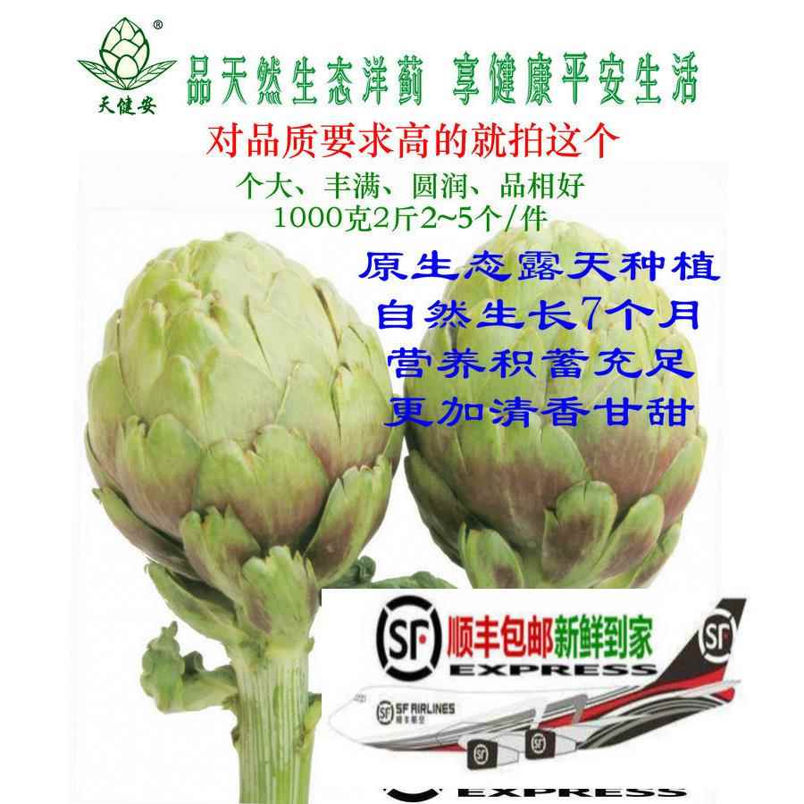 洋蓟新鲜菜朝鲜蓟菜蓟法国百合包邮1000克2斤云南出口欧美