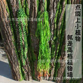 假树皮 饰 墙面装 饰植物 假树 仿真树皮 平方 人工植物墙装