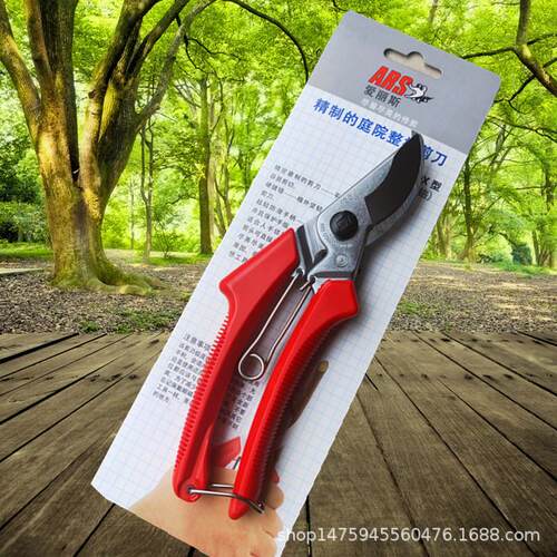 原装爱丽斯120DX 果树修剪工具 修枝剪 花枝花艺剪刀园林工具
