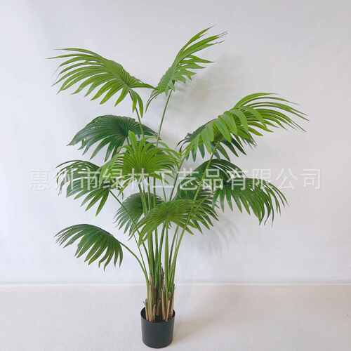 仿真蒲葵树唐棕葵 人造扇葵树盆栽 室内假绿植扇形树道具装扮绿植