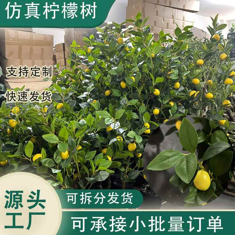 柠檬树盆栽客厅室内植物四季假树带果大号手工仿真树仿真绿植图片