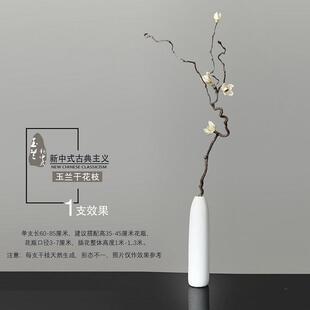 正品客厅地天然玉兰落干装 干燥枝干 干燥花花树束干支干 干树枝