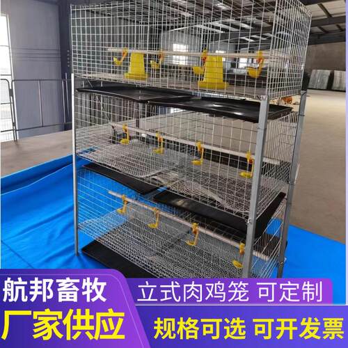 H型立式肉鸡笼镀锌雏肉鸡两用三层鸡笼育雏粪盘肉鸡笼养殖设备厂