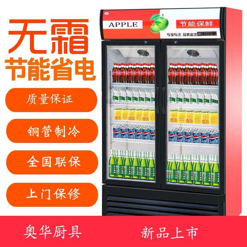 饮料啤酒展示柜商用冷藏保鲜柜蔬菜水果立式冰柜便利店单双门冰箱