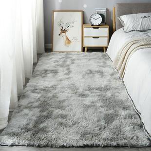 carpet living rugs rug bedroom floor home mat carpets room