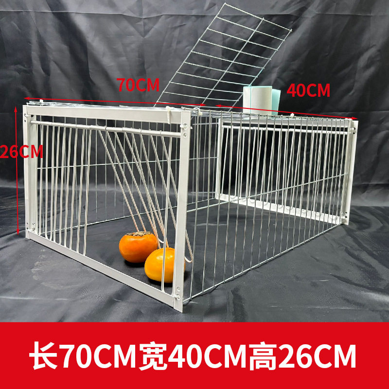只进不出鸟笼全自动天落笼子撞门户外抓收的鸽子笼捕加密可连续用,宠物/宠物食品及用品,鸟窝,淘宝优惠券,粉丝福利购,淘宝优惠卷