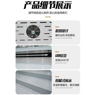 台式阶梯冰台摆摊用移RAB阶梯柜三轮车用冷动藏展柜商示用梯冷阶
