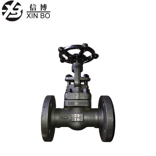 Z/J41H/Y-16C/25P/40I/64R/100锻造A105明杆手动法兰闸阀锻钢