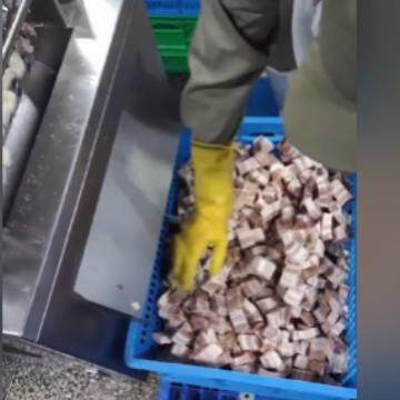 多功能肉羊肉猪肉切丁机鸡鸭鹅切块机带皮五花肉切割设备厂家