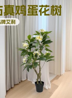 鸡蛋花手感胶布鸡蛋叶绿色假树叶园林室内外造景装饰鸡蛋花树