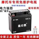 12V机车干 三轮车5A7A9A蓄电池通 干电瓶125滑板车110弯梁机车男装