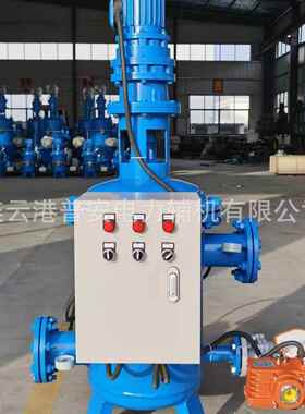 电DLS-250站水器 道全自动滤水 管滤水器 热网器全自动滤滤水器