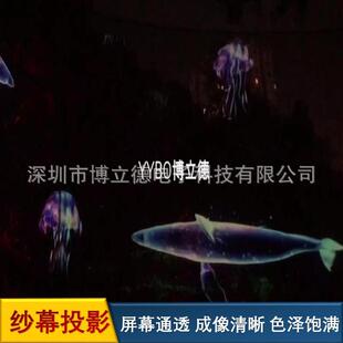 3D全息纱幕投影智慧公园光影夜游装置制作安装