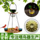 金属新款 喂太阳能铁鸟悬挂喂鸟太阳能水器器投食艺蜂鸟器器喂户外