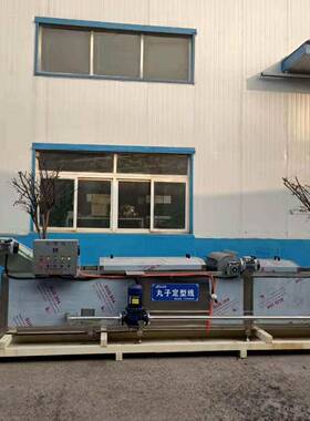 肉子加全套生产线贡丸成丸型机器马鲛牛鱼工流水线食堂酒店丸子机