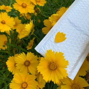 袋快递袋箱起 供应白色光膜气泡信封袋泡整袋防EAB气压防震袋包装