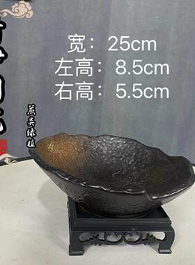 大号陶瓷盆中式桌面摆件苔藓球水培盆