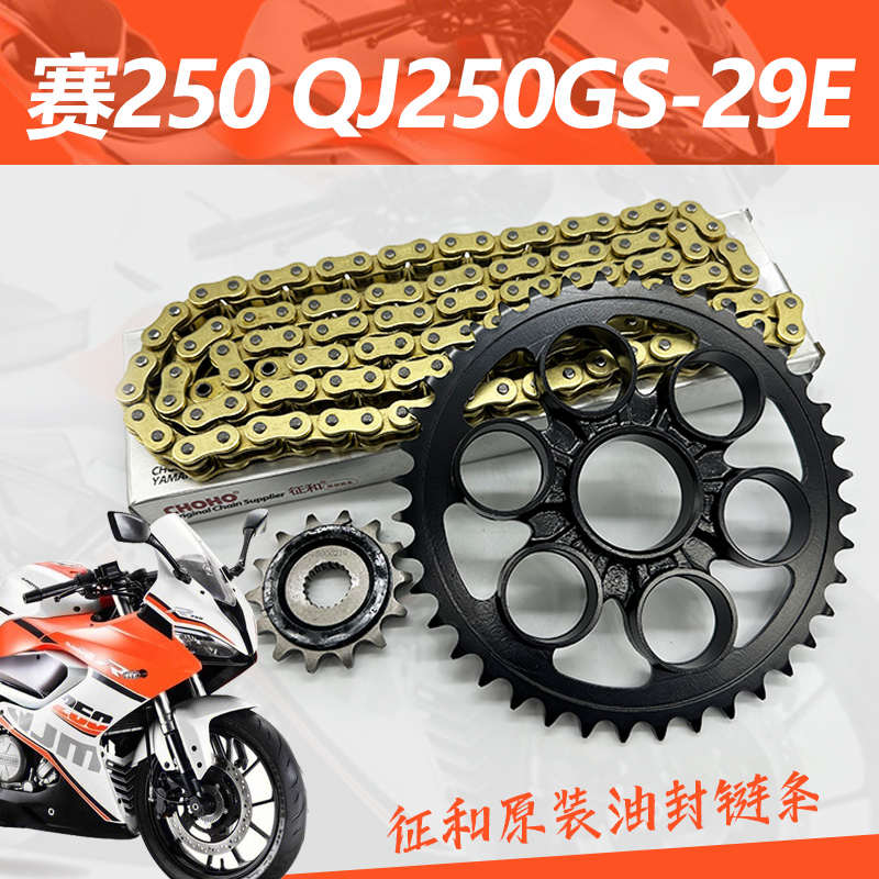 适用钱江赛250 QJ250GS-29E单摇臂大小牙盘链轮征和油封链条套链